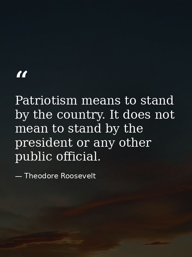 Patriotism means to stand by the country. It does not mean to stand by the president or any other public official. — Theodore Roosevelt