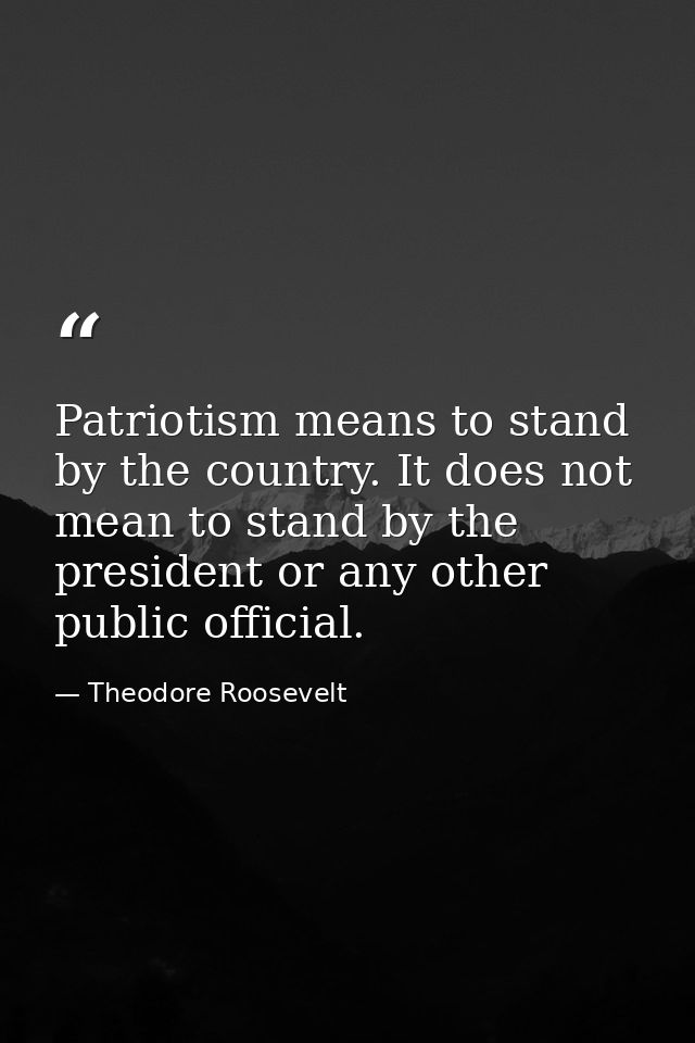 Patriotism means to stand by the country. It does not mean to stand by the president or any other public official. — Theodore Roosevelt