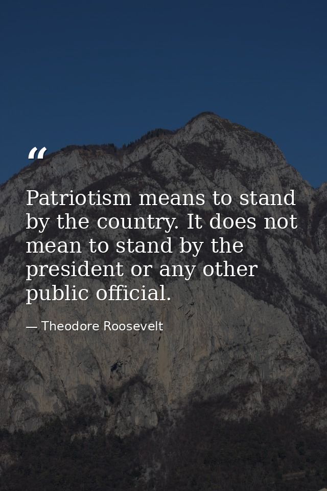 Patriotism means to stand by the country. It does not mean to stand by the president or any other public official. — Theodore Roosevelt