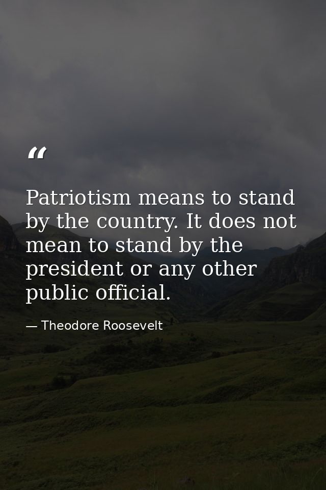 Patriotism means to stand by the country. It does not mean to stand by the president or any other public official. — Theodore Roosevelt