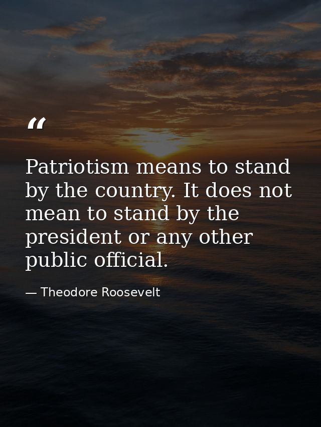 Patriotism means to stand by the country. It does not mean to stand by the president or any other public official. — Theodore Roosevelt