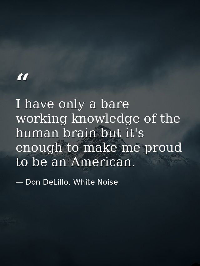 I have only a bare working knowledge of the human brain but it's enough to make me proud to be an American. — Don DeLillo, White Noise