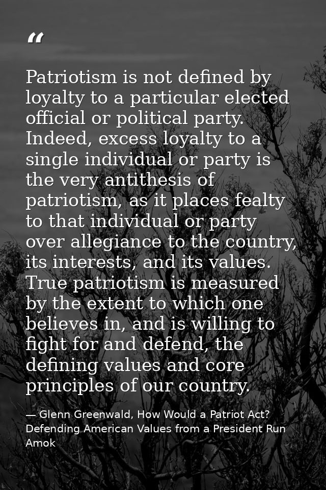 Patriotism is not defined by loyalty to a particular elected official or political party. Indeed, excess loyalty to a si — Glenn Greenwald, How Would a Patriot Act? Defending American Values from a President Run Amok
