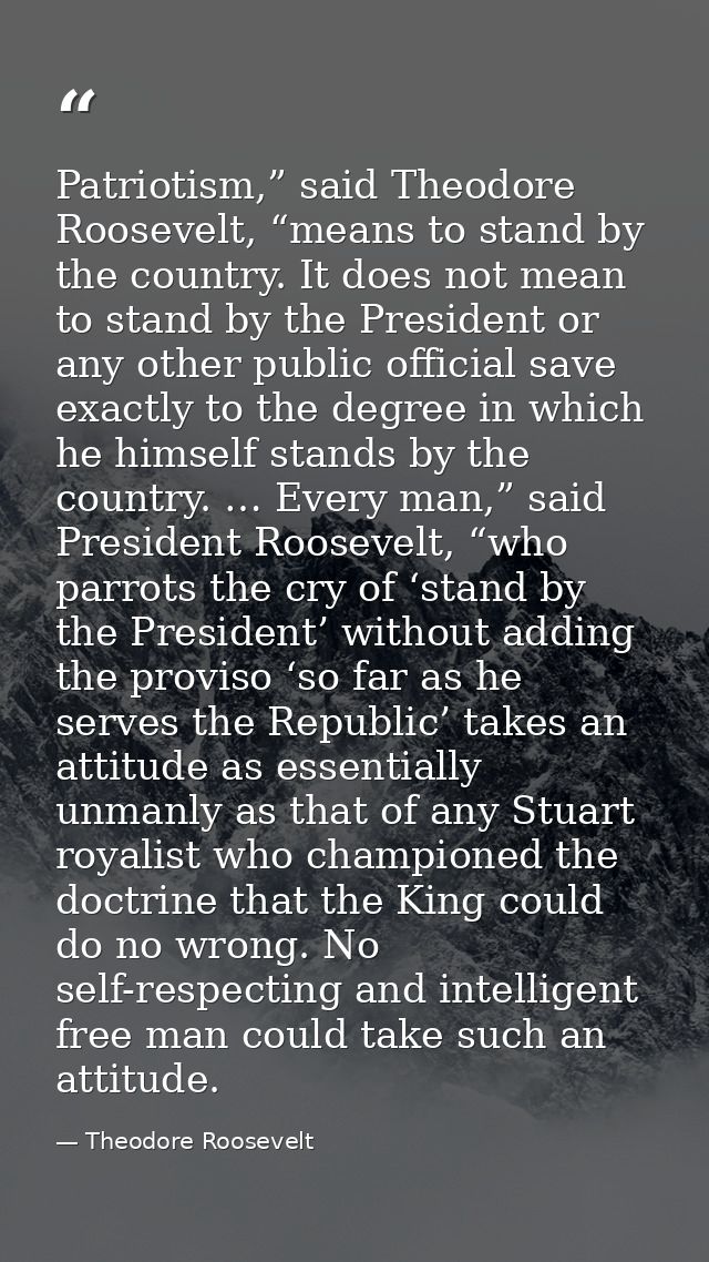 Patriotism,” said Theodore Roosevelt, “means to stand by the country. It does not mean to stand by the President or any  — Theodore Roosevelt