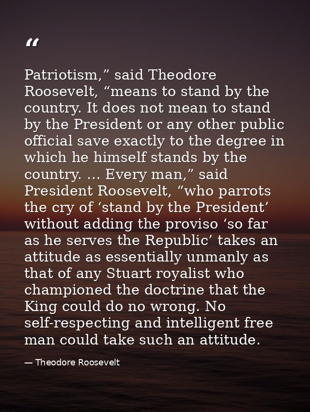 Patriotism,” said Theodore Roosevelt, “means to stand by the country. It does not mean to stand by the President or any  — Theodore Roosevelt
