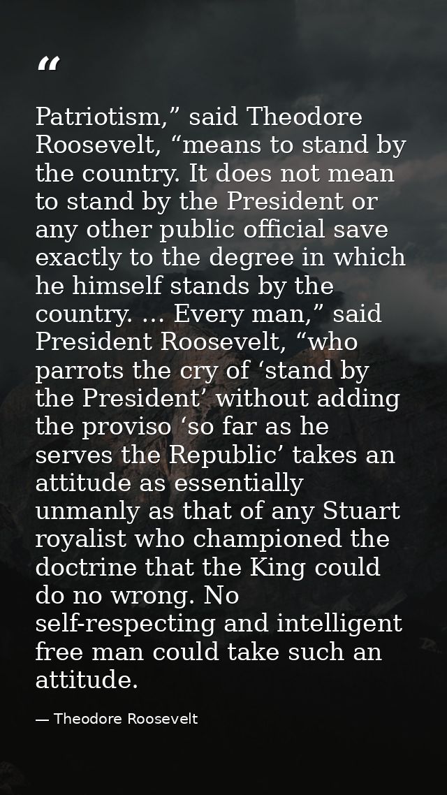 Patriotism,” said Theodore Roosevelt, “means to stand by the country. It does not mean to stand by the President or any  — Theodore Roosevelt