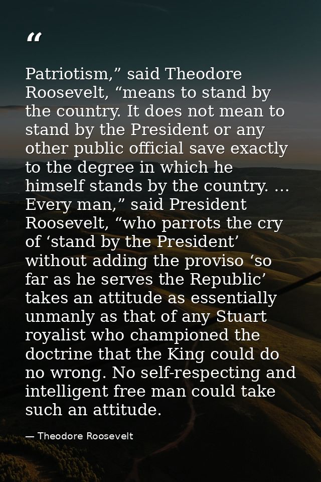 Patriotism,” said Theodore Roosevelt, “means to stand by the country. It does not mean to stand by the President or any  — Theodore Roosevelt