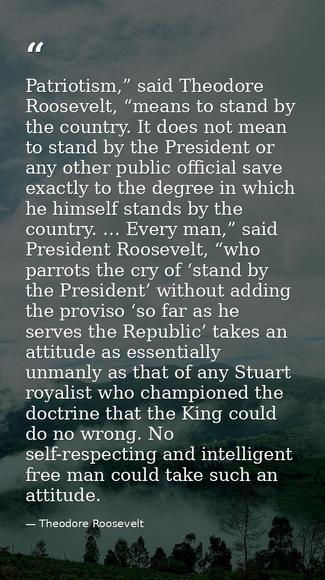 Patriotism,” said Theodore Roosevelt, “means to stand by the country. It does not mean to stand by the President or any  — Theodore Roosevelt