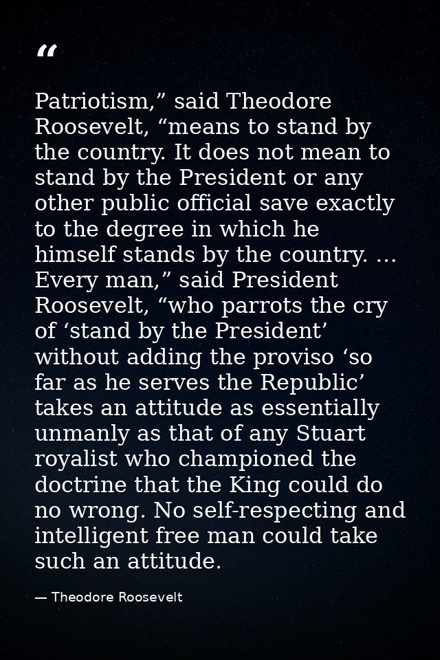 Patriotism,” said Theodore Roosevelt, “means to stand by the country. It does not mean to stand by the President or any  — Theodore Roosevelt