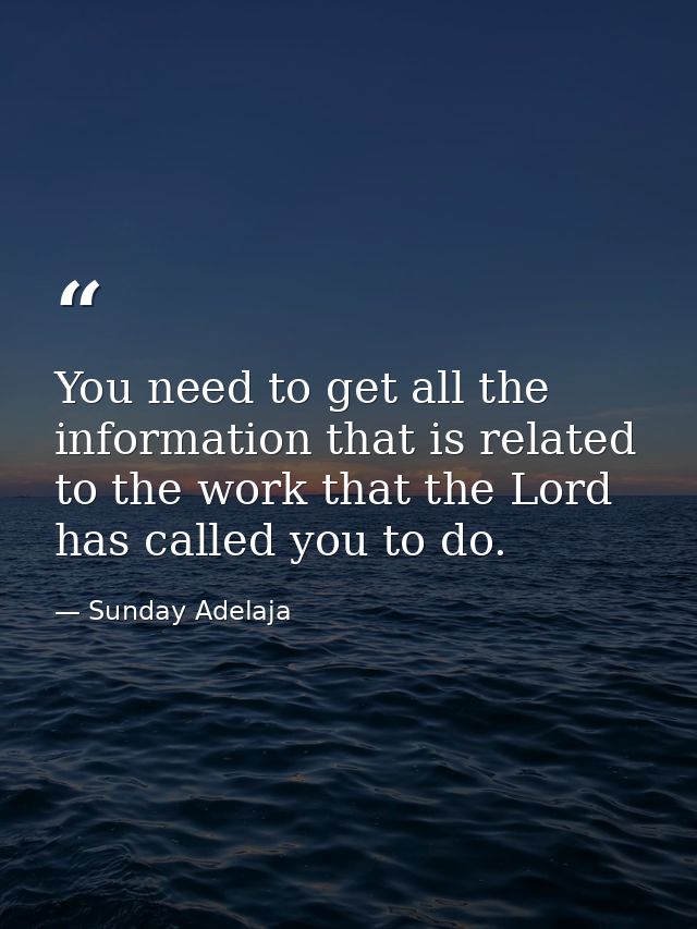 You need to get all the information that is related to the work that the Lord has called you to do. — Sunday Adelaja