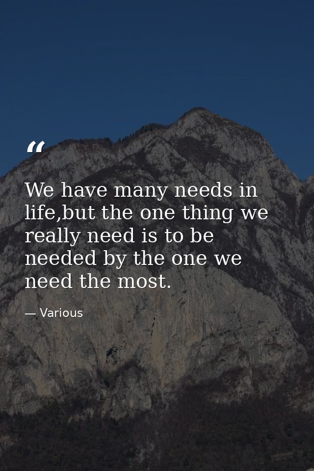 We have many needs in life,but the one thing we really need is to be needed by the one we need the most. — Various