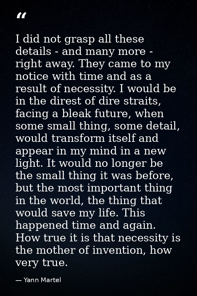I did not grasp all these details - and many more - right away. They came to my notice with time and as a result of nece — Yann Martel