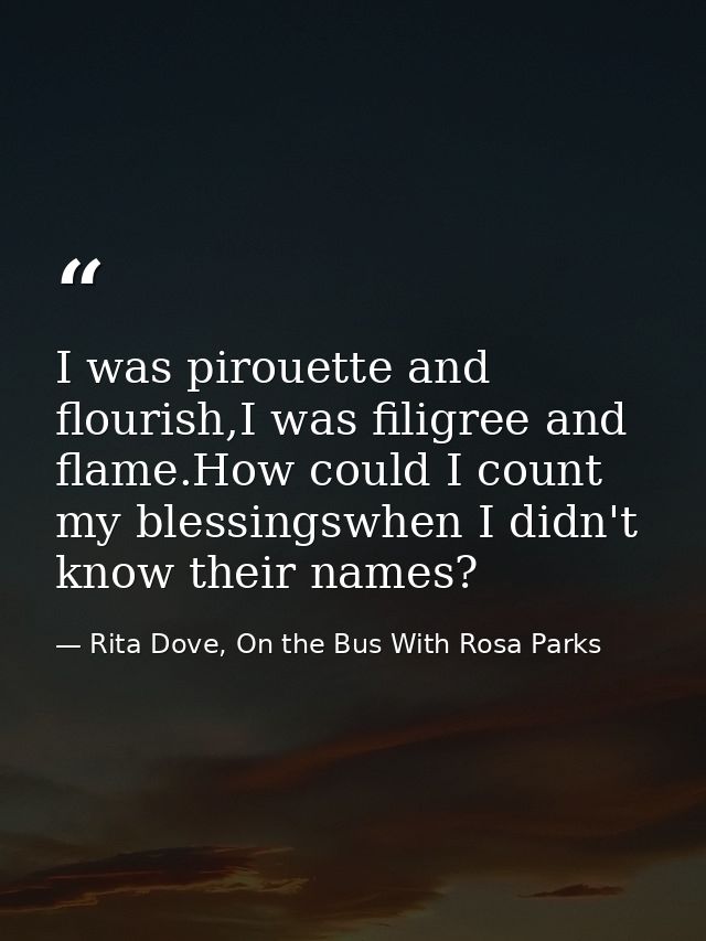 I was pirouette and flourish,I was filigree and flame.How could I count my blessingswhen I didn't know their names? — Rita Dove, On the Bus With Rosa Parks