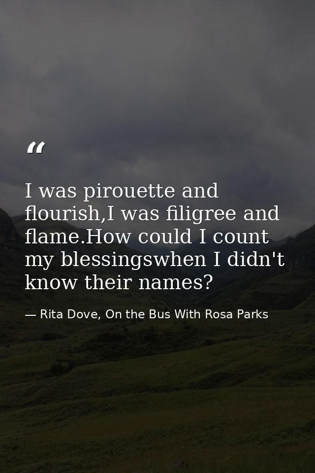I was pirouette and flourish,I was filigree and flame.How could I count my blessingswhen I didn't know their names? — Rita Dove, On the Bus With Rosa Parks