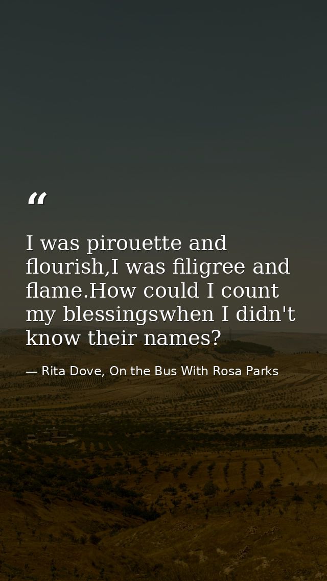 I was pirouette and flourish,I was filigree and flame.How could I count my blessingswhen I didn't know their names? — Rita Dove, On the Bus With Rosa Parks