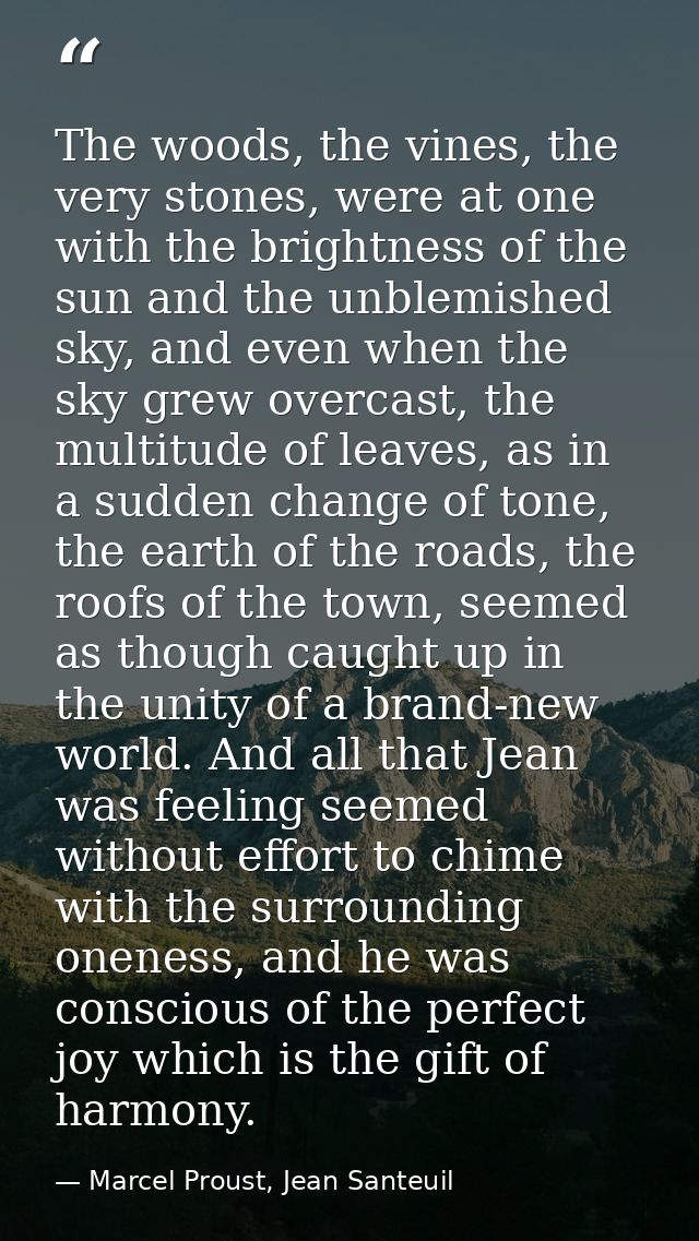 The woods, the vines, the very stones, were at one with the brightness of the sun and the unblemished sky, and even when — Marcel Proust, Jean Santeuil
