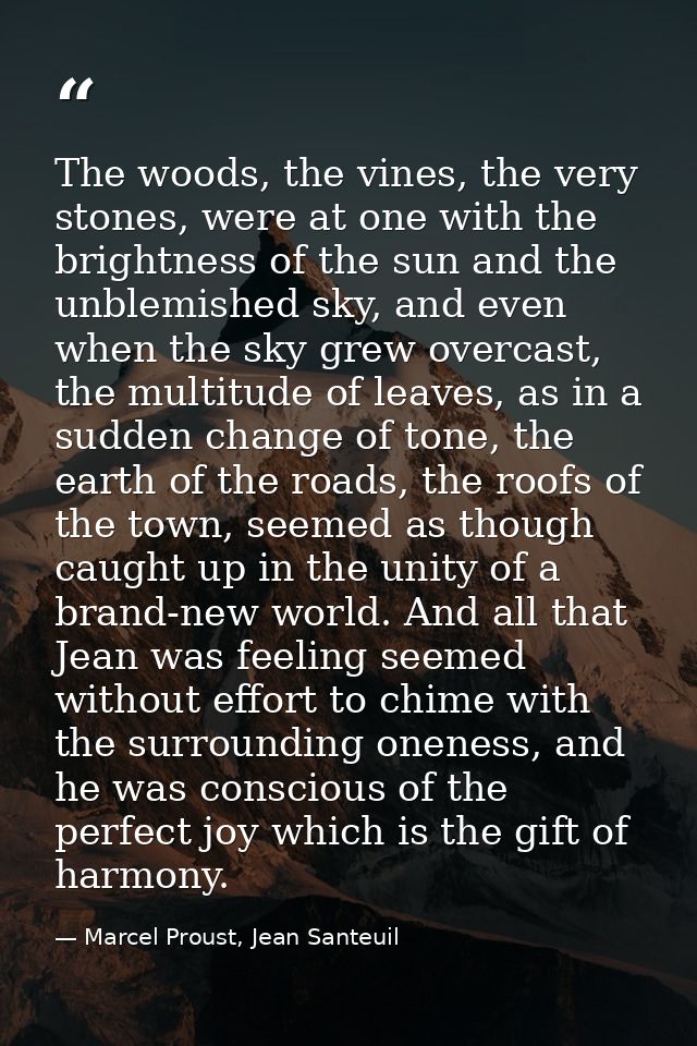 The woods, the vines, the very stones, were at one with the brightness of the sun and the unblemished sky, and even when — Marcel Proust, Jean Santeuil