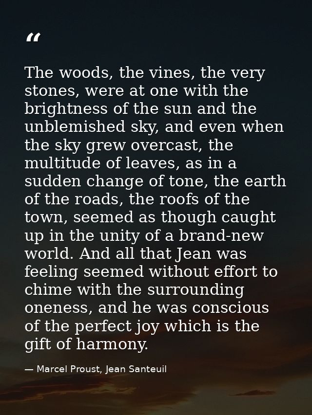 The woods, the vines, the very stones, were at one with the brightness of the sun and the unblemished sky, and even when — Marcel Proust, Jean Santeuil