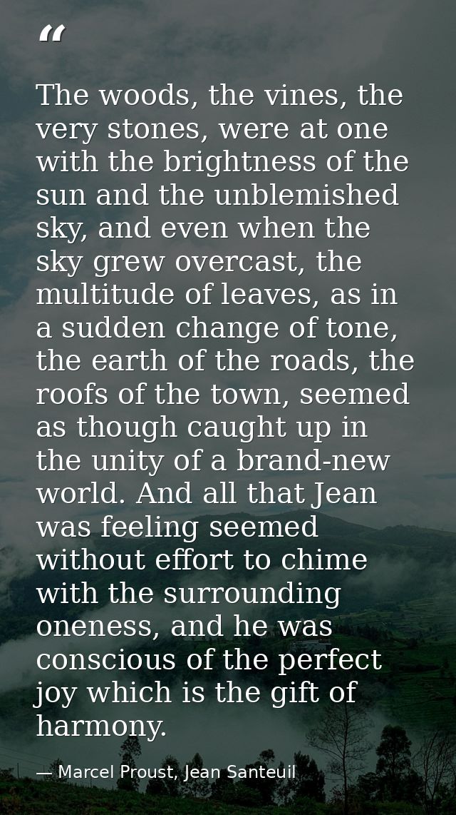 The woods, the vines, the very stones, were at one with the brightness of the sun and the unblemished sky, and even when — Marcel Proust, Jean Santeuil