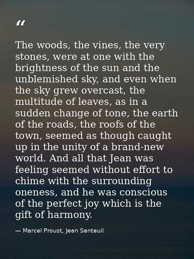 The woods, the vines, the very stones, were at one with the brightness of the sun and the unblemished sky, and even when — Marcel Proust, Jean Santeuil