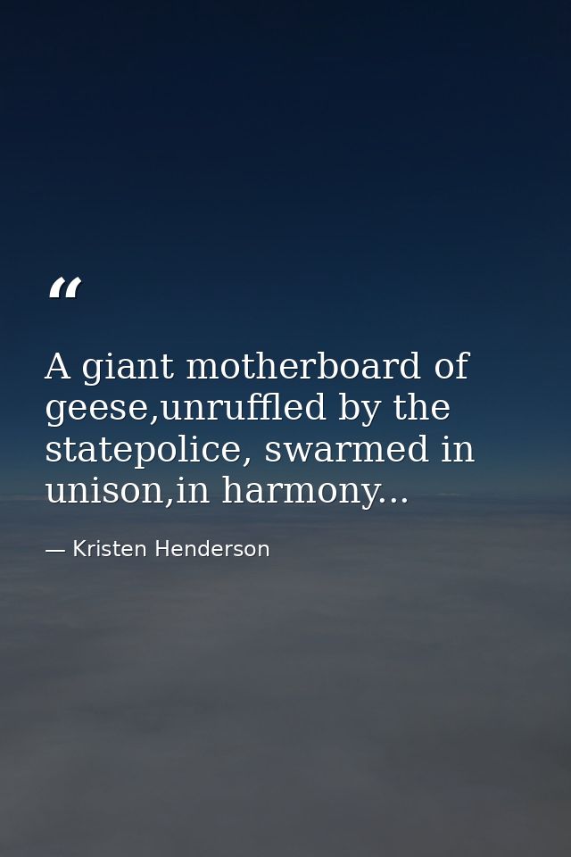 A giant motherboard of geese,unruffled by the statepolice, swarmed in unison,in harmony... — Kristen Henderson