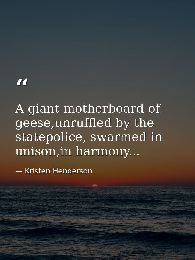 A giant motherboard of geese,unruffled by the statepolice, swarmed in unison,in harmony... — Kristen Henderson