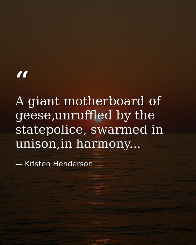 A giant motherboard of geese,unruffled by the statepolice, swarmed in unison,in harmony... — Kristen Henderson