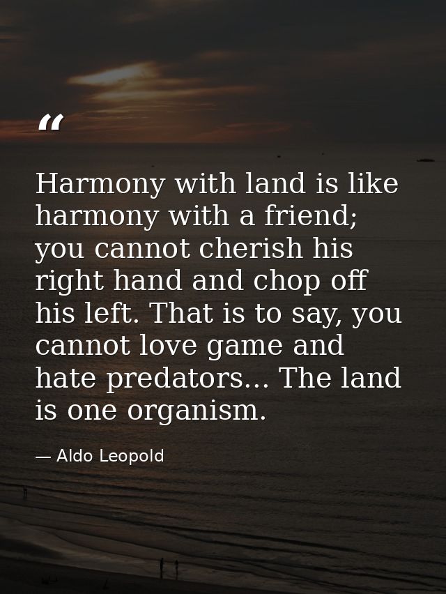Harmony with land is like harmony with a friend; you cannot cherish his right hand and chop off his left. That is to say — Aldo Leopold