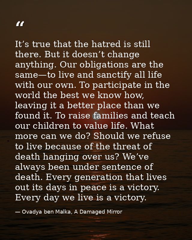 It’s true that the hatred is still there. But it doesn’t change anything. Our obligations are the same—to live and sanct — Ovadya ben Malka, A Damaged Mirror