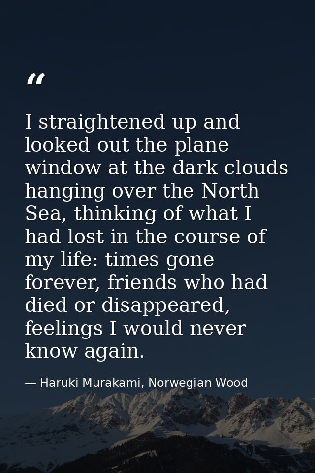 I straightened up and looked out the plane window at the dark clouds hanging over the North Sea, thinking of what I had  — Haruki Murakami, Norwegian Wood