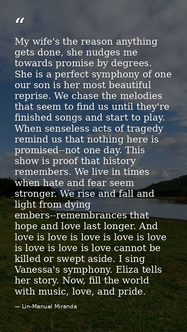 My wife's the reason anything gets done, she nudges me towards promise by degrees. She is a perfect symphony of one our  — Lin-Manuel Miranda