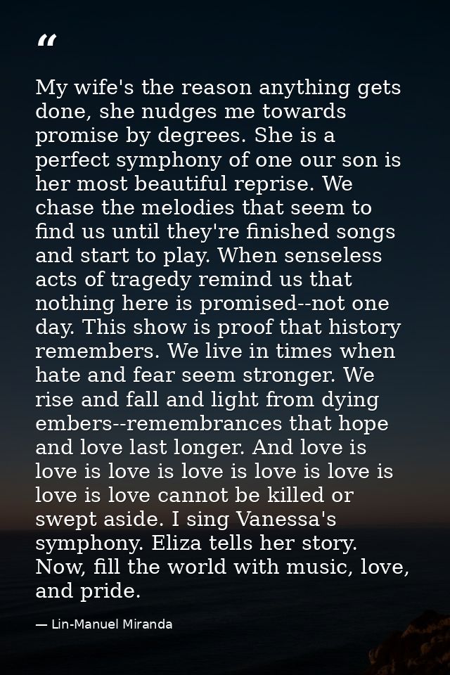 My wife's the reason anything gets done, she nudges me towards promise by degrees. She is a perfect symphony of one our  — Lin-Manuel Miranda