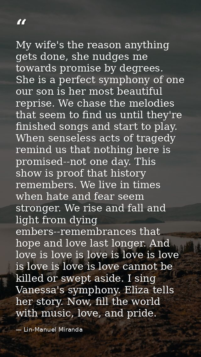 My wife's the reason anything gets done, she nudges me towards promise by degrees. She is a perfect symphony of one our  — Lin-Manuel Miranda