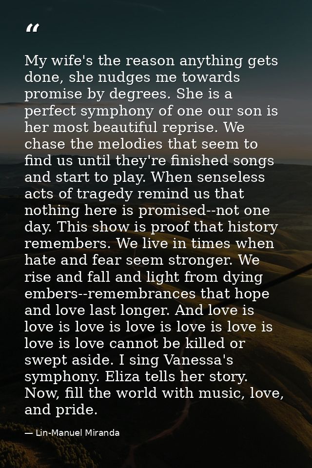 My wife's the reason anything gets done, she nudges me towards promise by degrees. She is a perfect symphony of one our  — Lin-Manuel Miranda