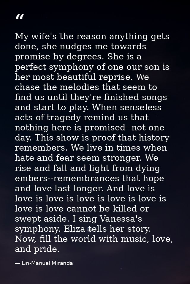My wife's the reason anything gets done, she nudges me towards promise by degrees. She is a perfect symphony of one our  — Lin-Manuel Miranda