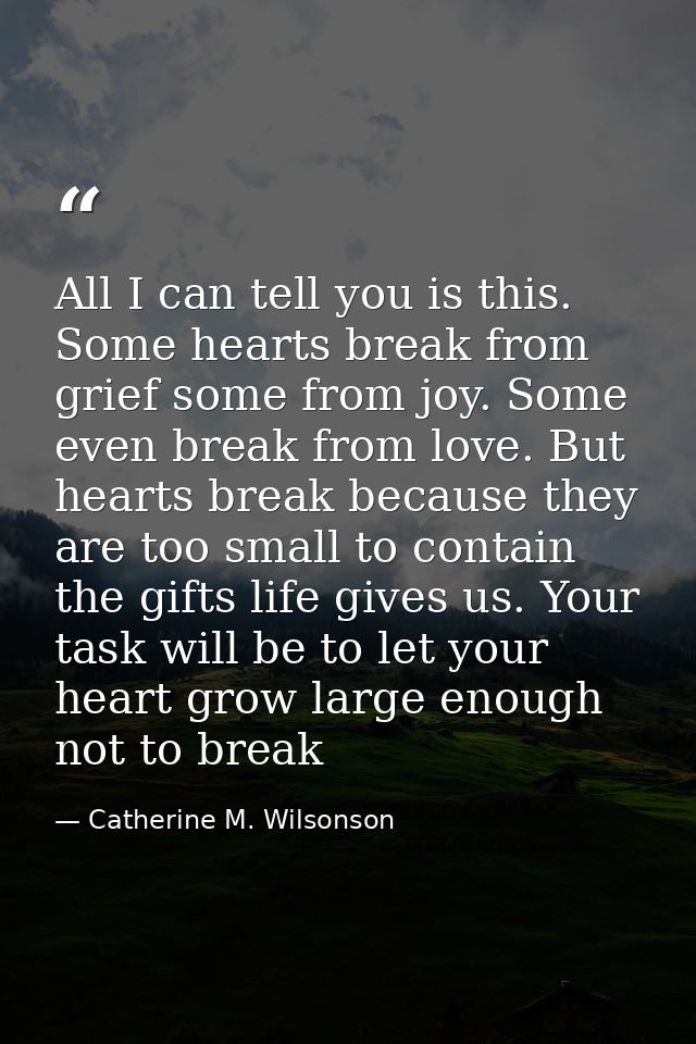 All I can tell you is this. Some hearts break from grief some from joy. Some even break from love. But hearts break beca — Catherine M. Wilsonson