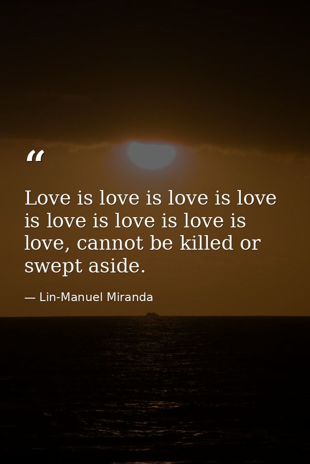 Love is love is love is love is love is love is love is love, cannot be killed or swept aside. — Lin-Manuel Miranda