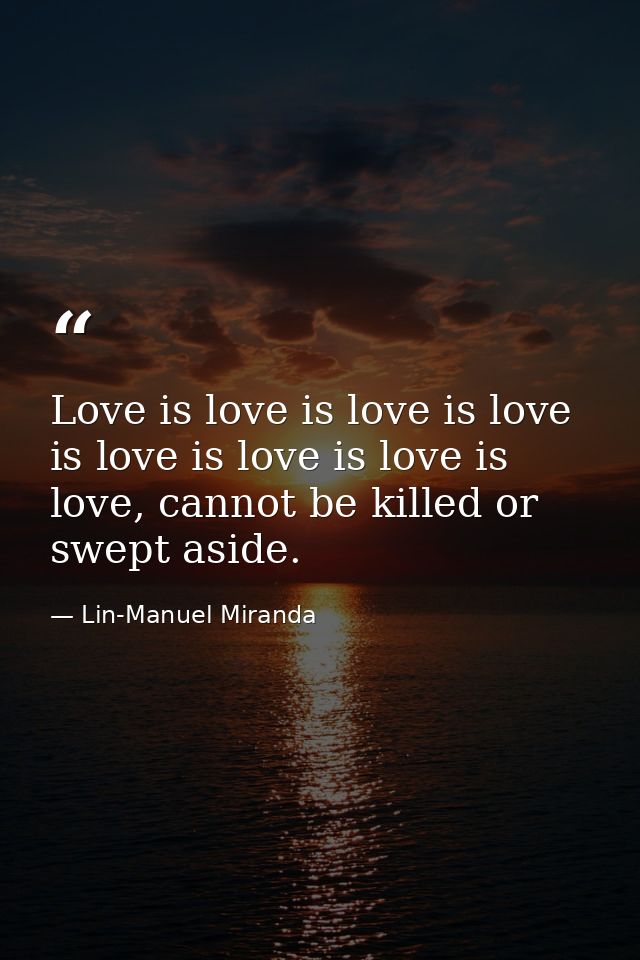 Love is love is love is love is love is love is love is love, cannot be killed or swept aside. — Lin-Manuel Miranda