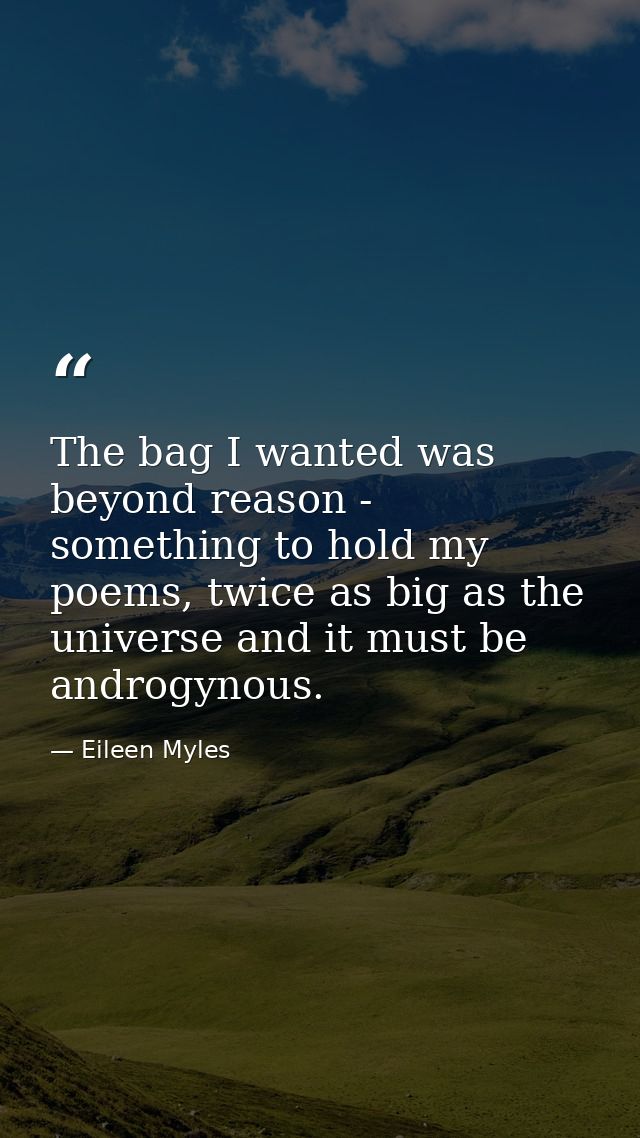 The bag I wanted was beyond reason - something to hold my poems, twice as big as the universe and it must be androgynous — Eileen Myles