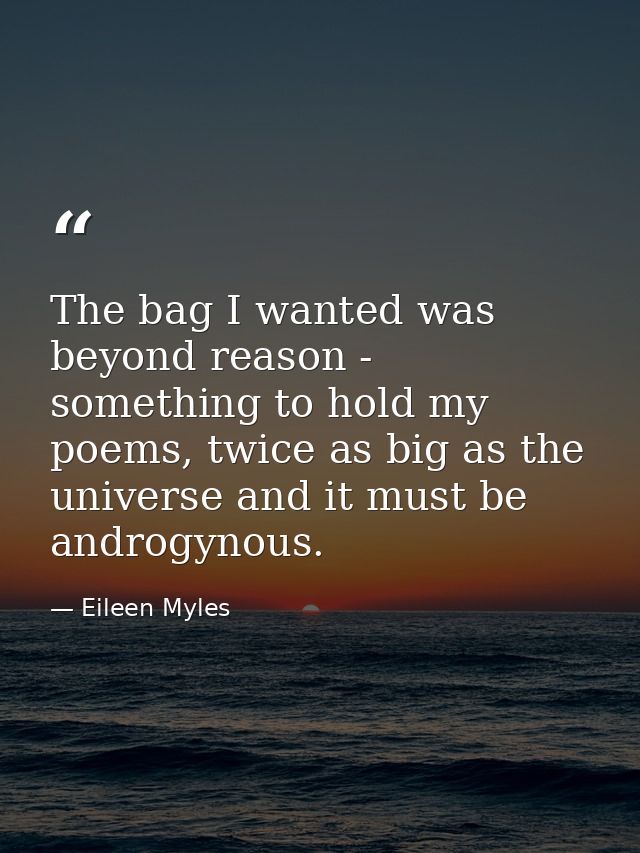 The bag I wanted was beyond reason - something to hold my poems, twice as big as the universe and it must be androgynous — Eileen Myles