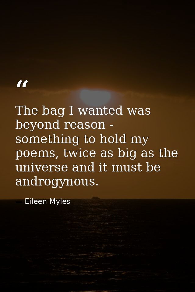 The bag I wanted was beyond reason - something to hold my poems, twice as big as the universe and it must be androgynous — Eileen Myles