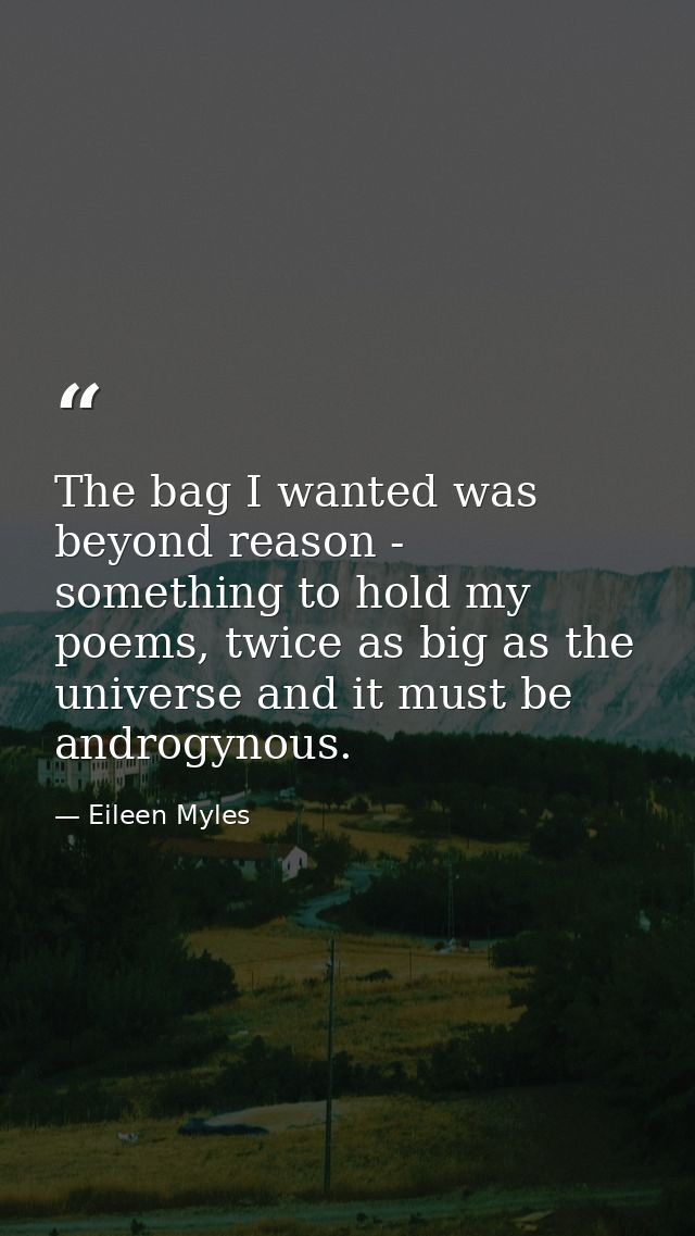 The bag I wanted was beyond reason - something to hold my poems, twice as big as the universe and it must be androgynous — Eileen Myles