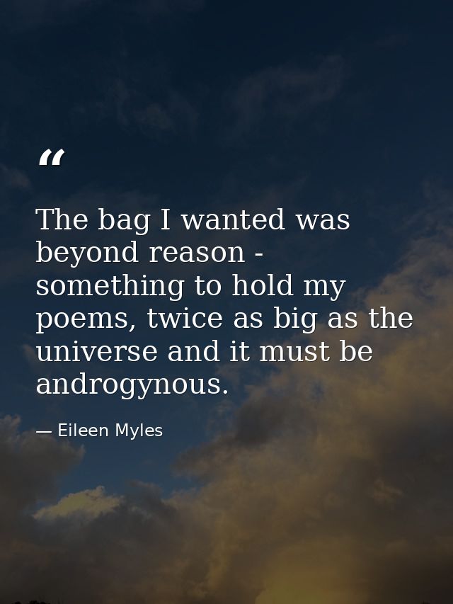 The bag I wanted was beyond reason - something to hold my poems, twice as big as the universe and it must be androgynous — Eileen Myles