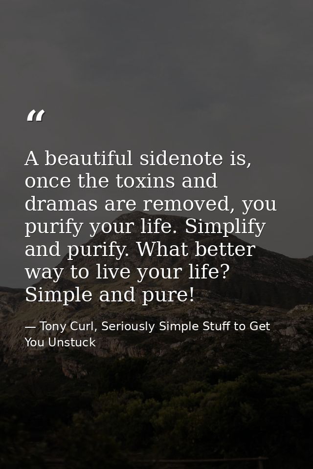 A beautiful sidenote is, once the toxins and dramas are removed, you purify your life. Simplify and purify. What better  — Tony Curl, Seriously Simple Stuff to Get You Unstuck