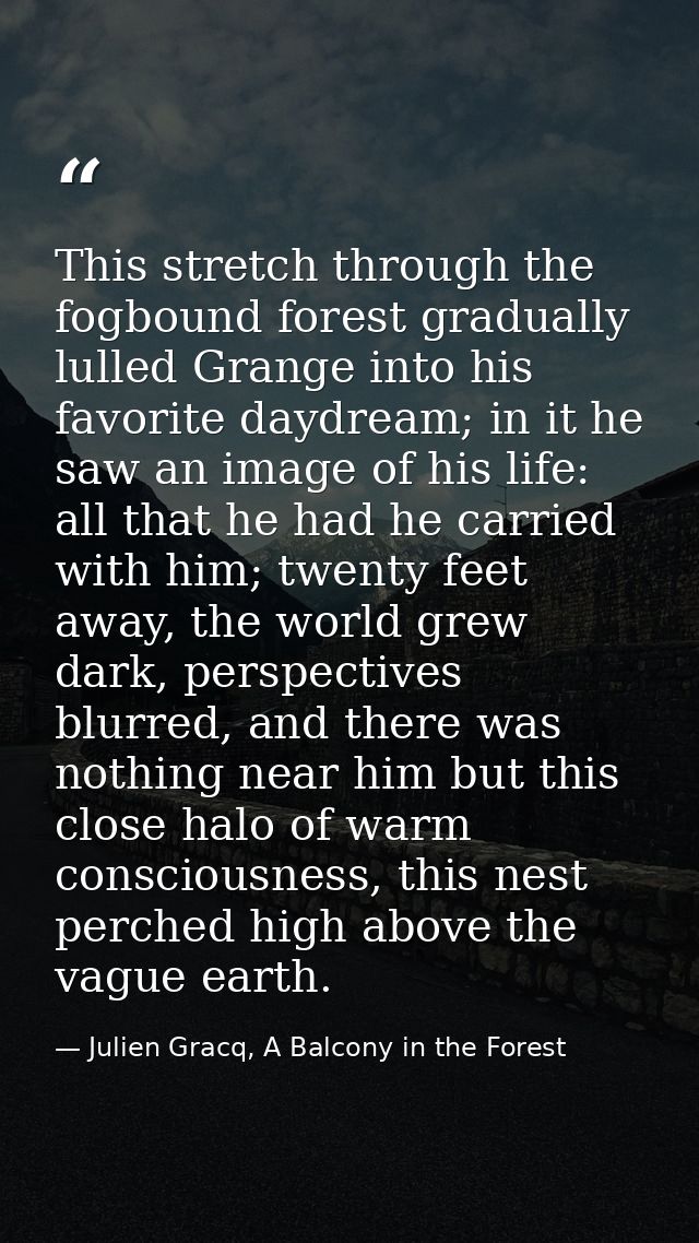 This stretch through the fogbound forest gradually lulled Grange into his favorite daydream; in it he saw an image of hi — Julien Gracq, A Balcony in the Forest