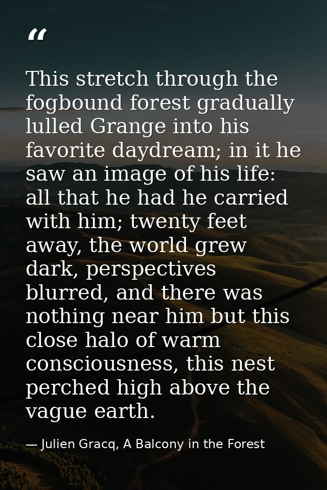 This stretch through the fogbound forest gradually lulled Grange into his favorite daydream; in it he saw an image of hi — Julien Gracq, A Balcony in the Forest