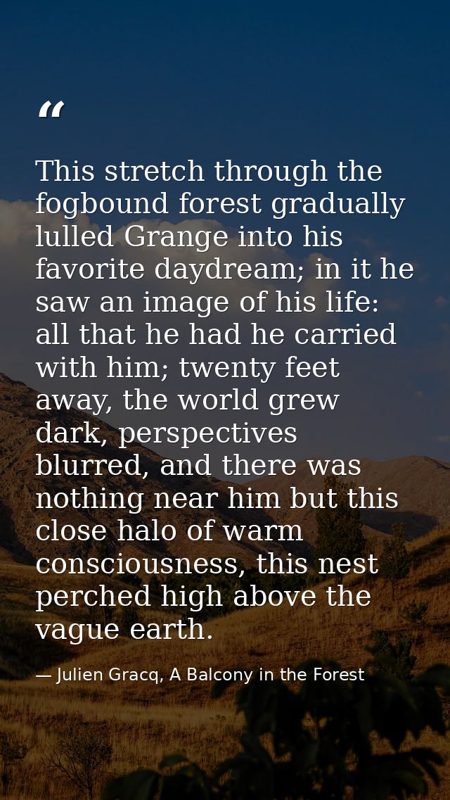 This stretch through the fogbound forest gradually lulled Grange into his favorite daydream; in it he saw an image of hi — Julien Gracq, A Balcony in the Forest