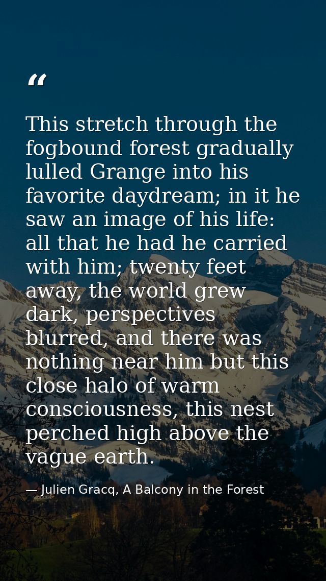 This stretch through the fogbound forest gradually lulled Grange into his favorite daydream; in it he saw an image of hi — Julien Gracq, A Balcony in the Forest