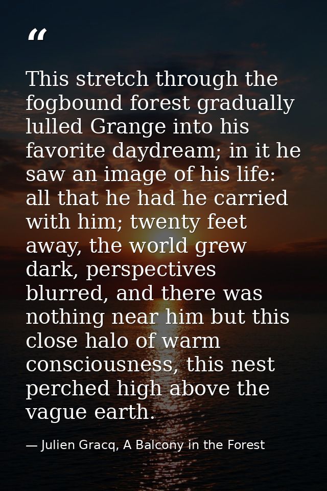 This stretch through the fogbound forest gradually lulled Grange into his favorite daydream; in it he saw an image of hi — Julien Gracq, A Balcony in the Forest