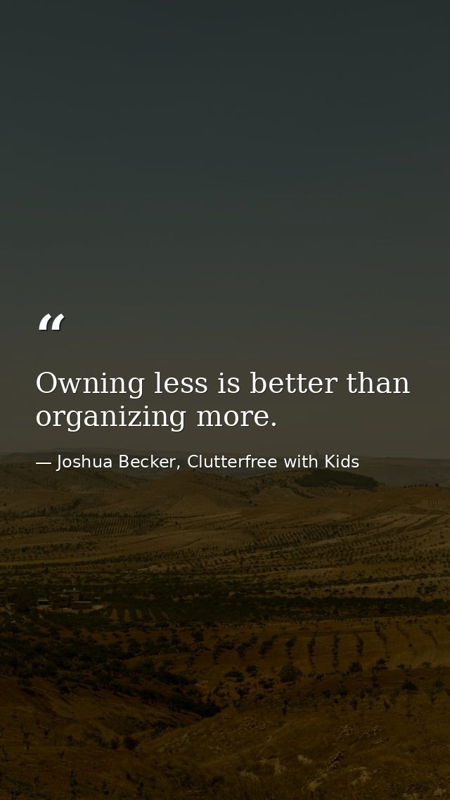 Owning less is better than organizing more. — Joshua Becker, Clutterfree with Kids
